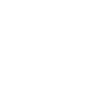 Security Icon